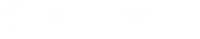 Weitblick Studio SEO